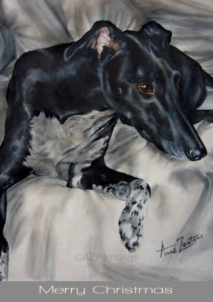 A lurcher dog lying on a chair looking alert and listening