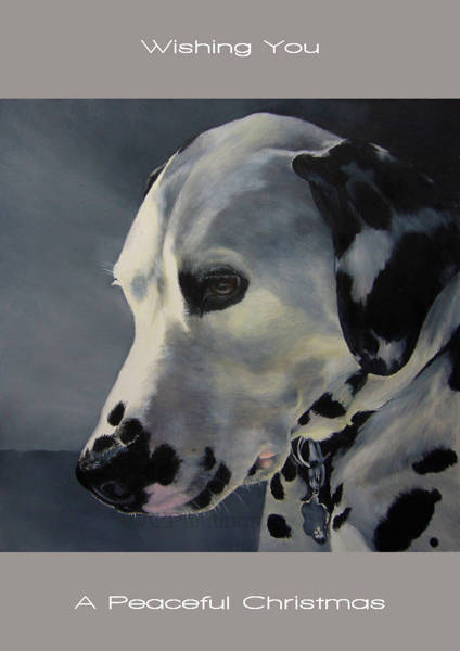 Head study of a peaceful Dalmatian