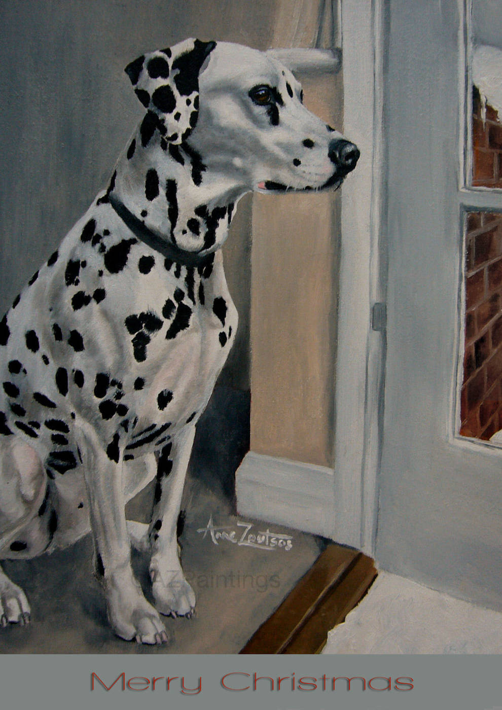 A Dalmatian sitting just inside an open doorway, looking out at the snow
