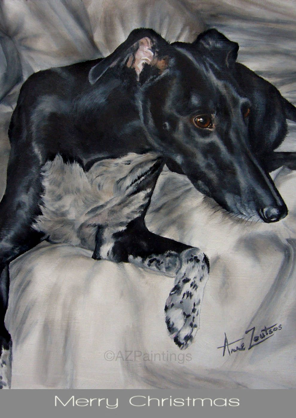 A lurcher dog lying on a chair looking alert and listening