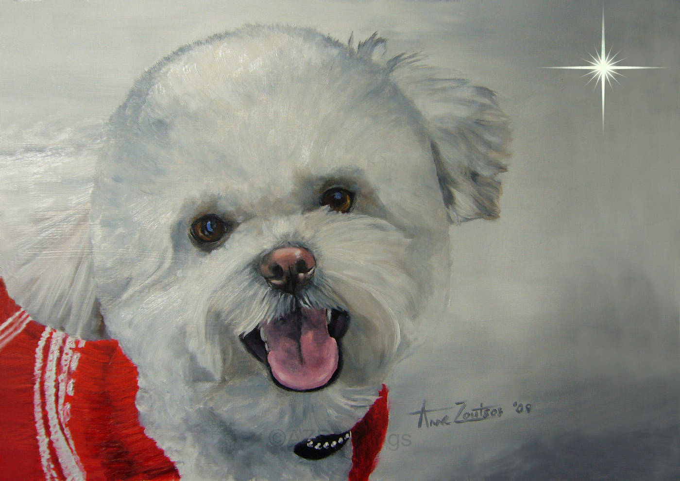 Head study of a little white dog with a star in the background