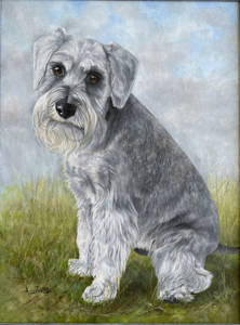 Oil painting of a miniature schnauzer sitting on a lawn
