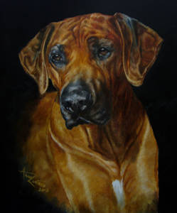 Oil painting of a Rhodesian ridgeback portrait on a dark background