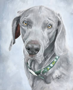Oil painting of a weimaraner head study with a soft grey background