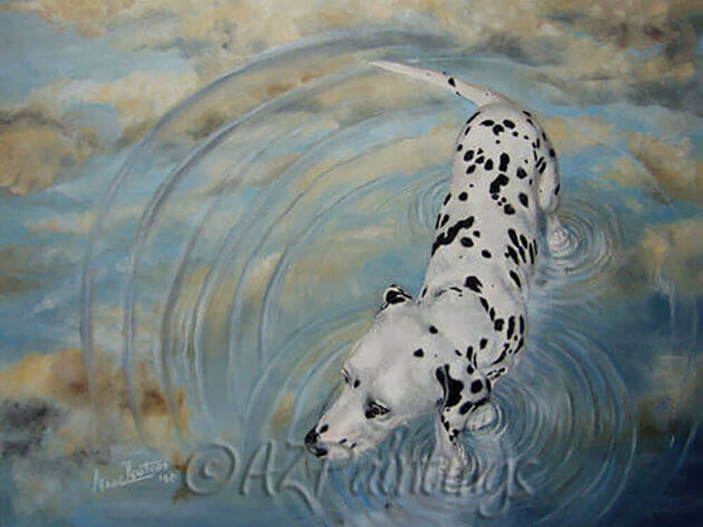 Dalmatian In The Sky