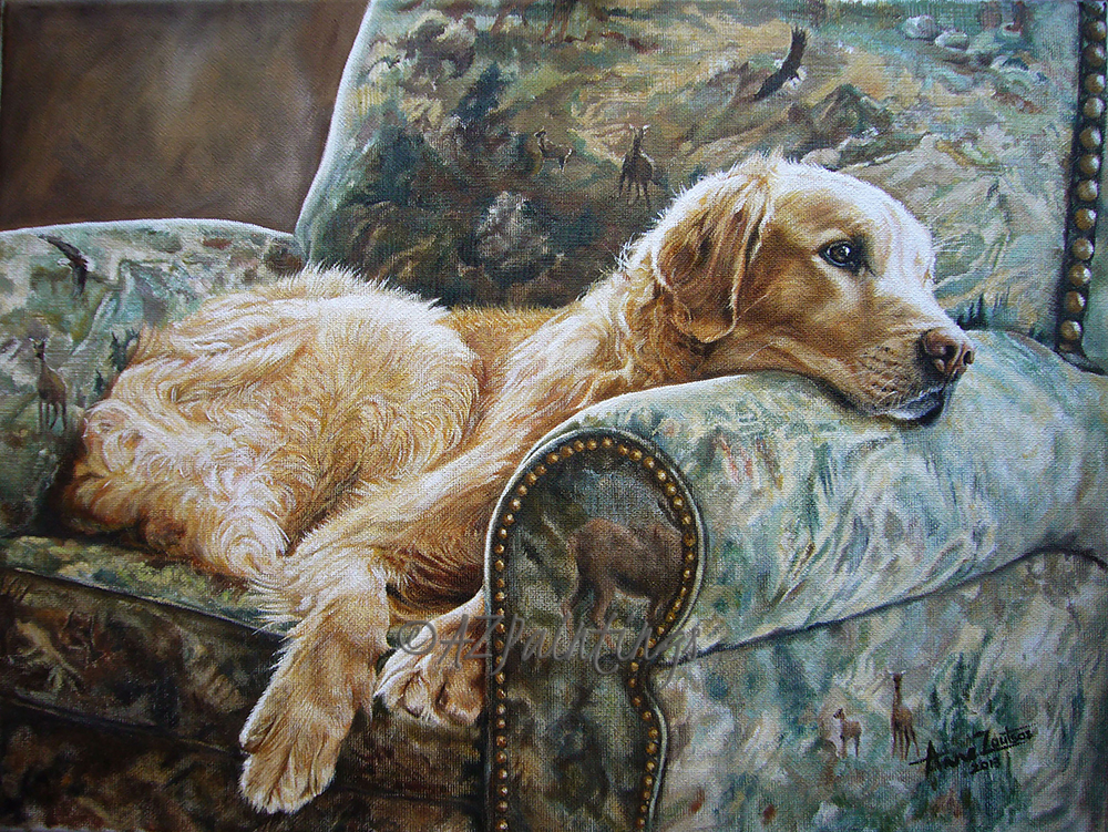 Golden Retriever-Bear and chair