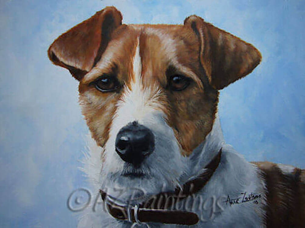 Jack Russell Terrier And Sky