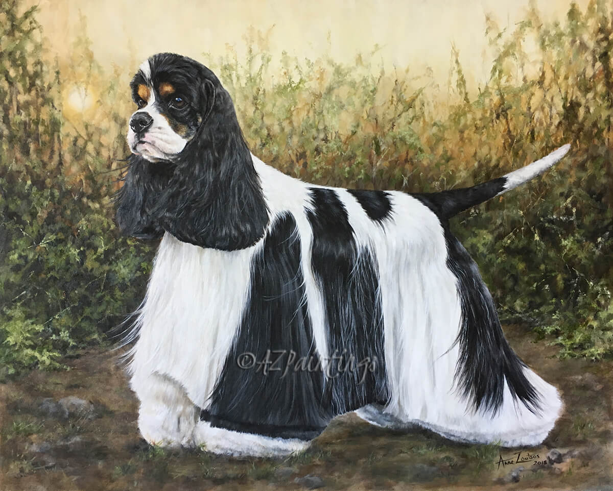 American Cocker Spaniel, Sh Champion Afterglow Miami Ink