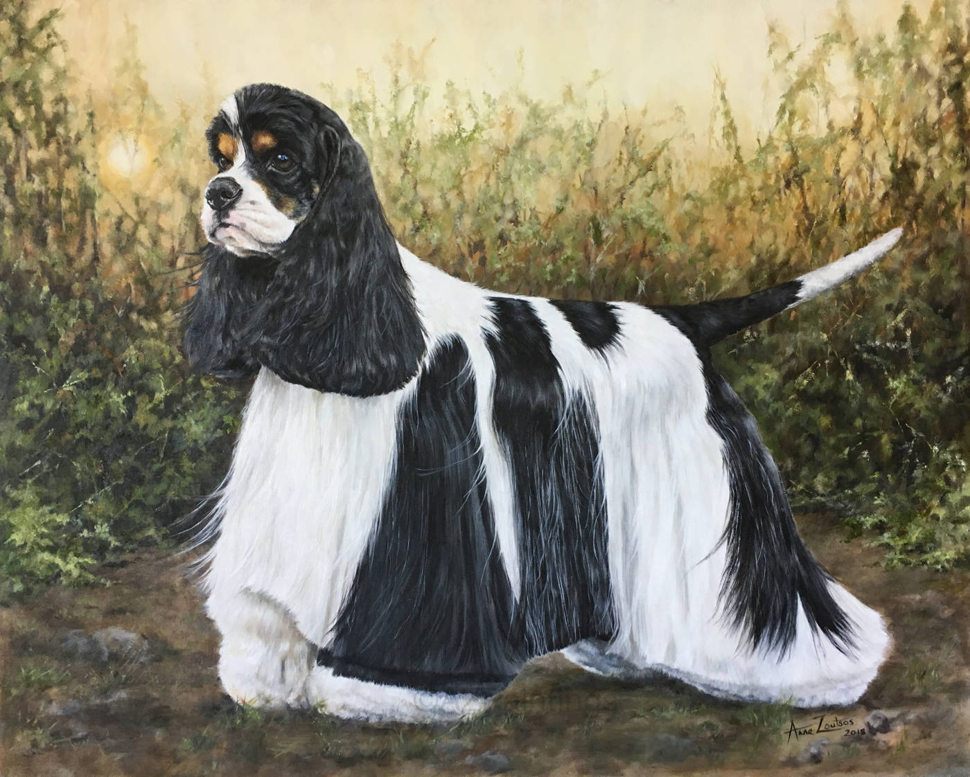 An American Cocker Spaniel standing before shrubbery at sunset
