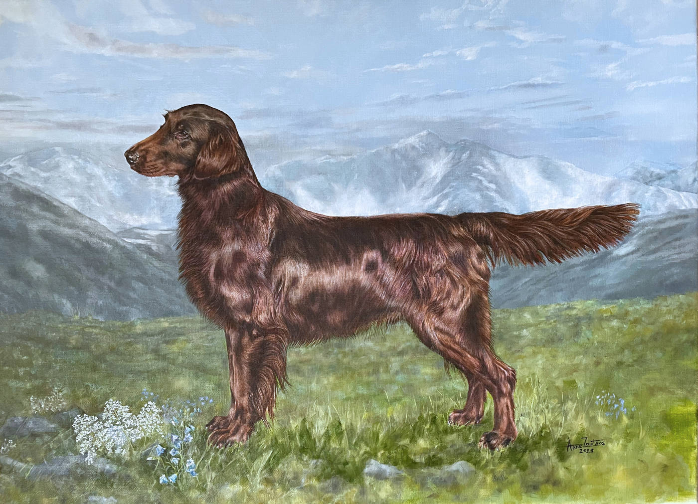 A flat-coat retriever standing against the Sulitjelma mountain range