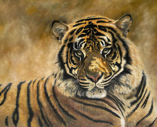 A resting tiger lying on warm stone, painted in oils