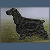 Cocker Spaniel - Sh Ch Charbonnel Warlord