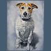 Jack Russell Terrier-Woody