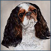 King Charles Spaniel- Fr Int Bel  Lux Dutch Ger and Fin Ch Lili de Melkrin