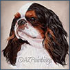 King Charles Spaniel - Fr Lux Int Ch Timothy de Melcourt