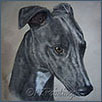 Lurcher - Euclid