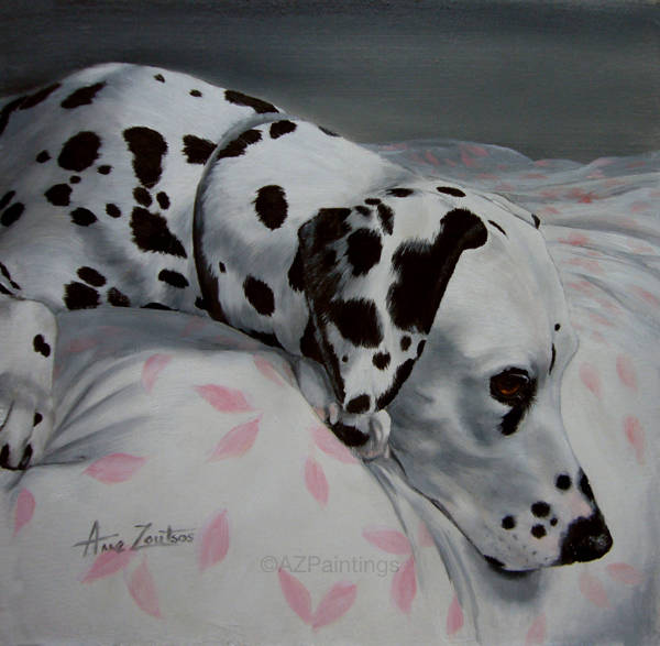 A Dalmatian resting on a bed