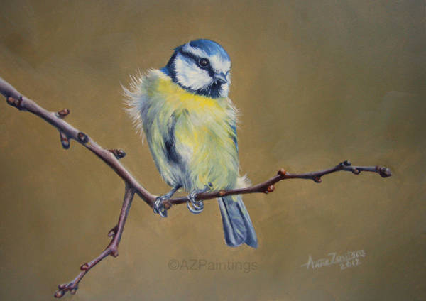 A blue tit perched on a branch
