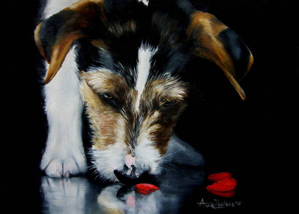 A Jack Russell Terrier sniffing broken red heart-shaped pieces on the floor