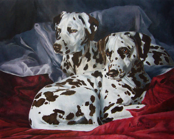 Two liver-spotted Dalmatians lying on a red bed cover