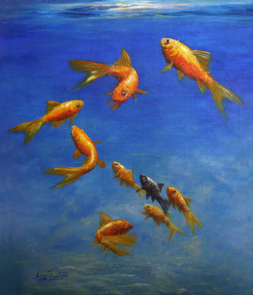 Gold and black fish swimming together