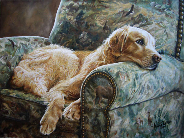 A Golden Retriever resting in a patterned chair