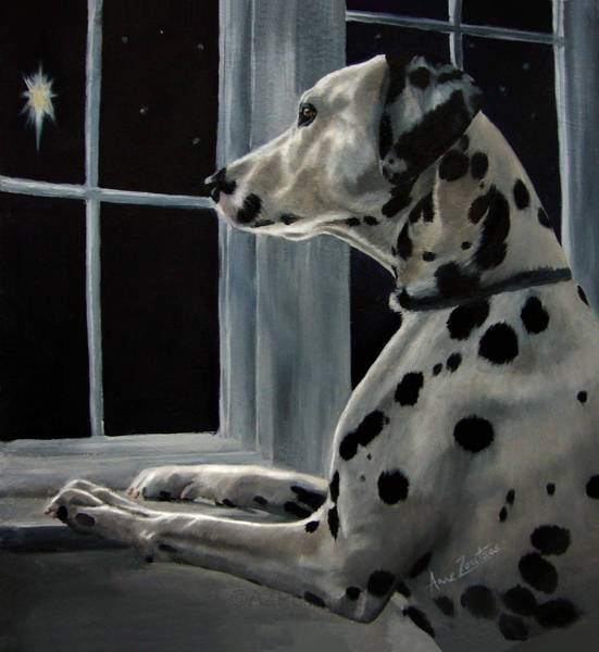 A Dalmatian looking through a window at a star