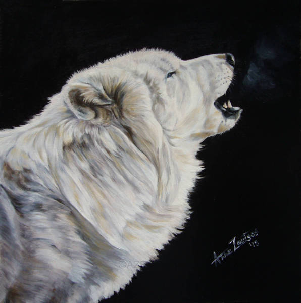 An Arctic wolf howling