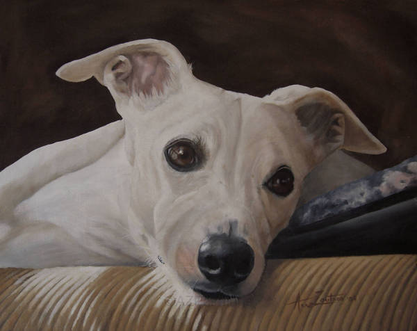 A Whippet lying with its chin on a cushion