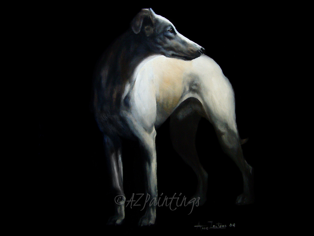 Whippet In Black