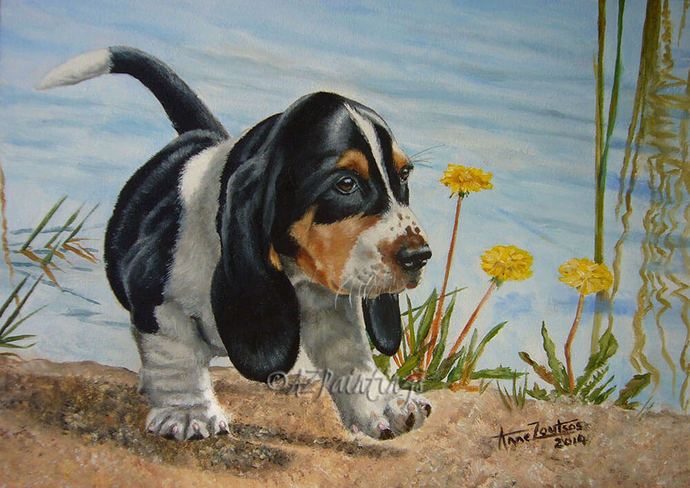 Baby Bassett