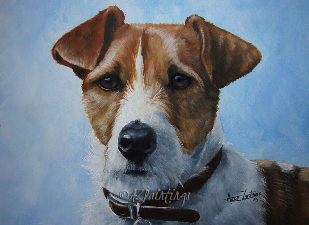 Jack Russell Terrier And Sky